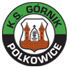 Górnik Polkowice